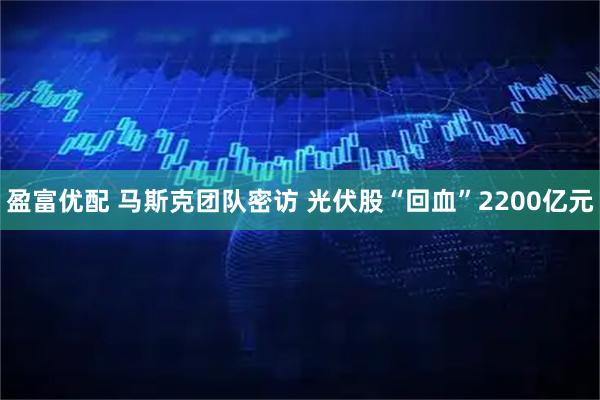 盈富优配 马斯克团队密访 光伏股“回血”2200亿元
