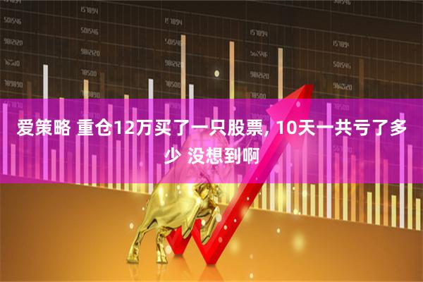 爱策略 重仓12万买了一只股票, 10天一共亏了多少 没想到啊