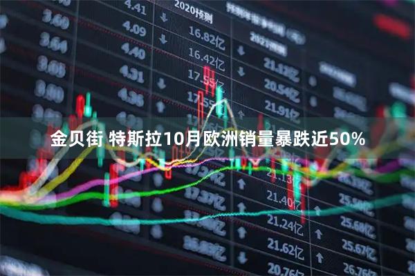 金贝街 特斯拉10月欧洲销量暴跌近50%